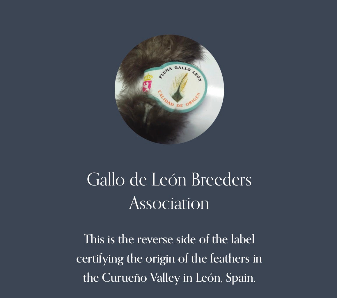 Coq de León - Authentic León Province (Ed Madrigal)