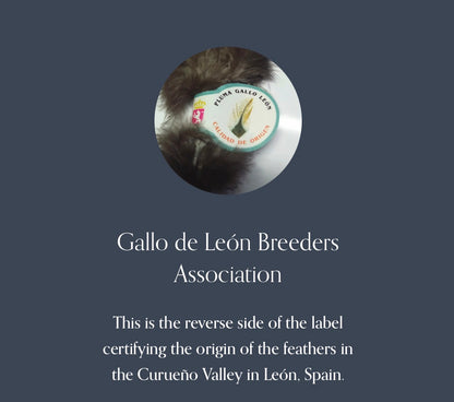 Coq de León - Authentic León Province (Ed Madrigal)