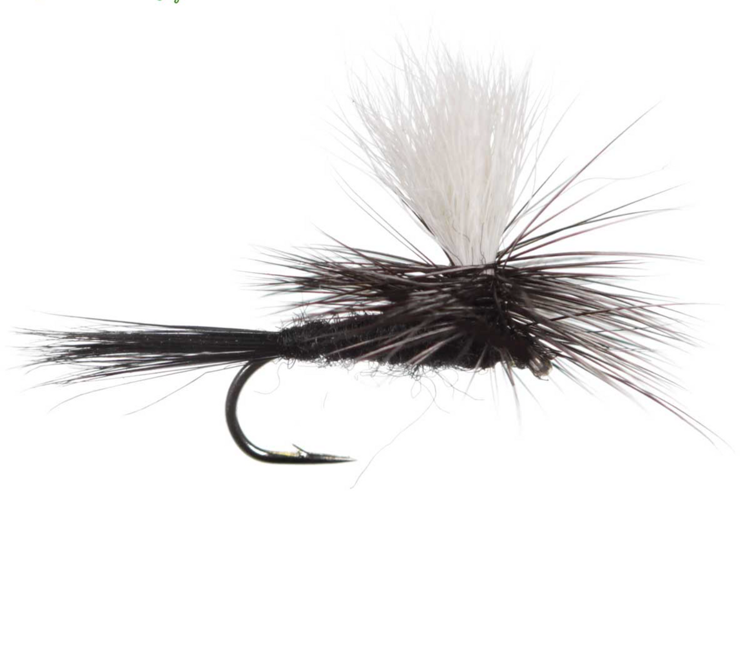 BLACK PARACHUTE MAYFLY