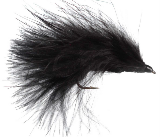 MARABOU LEECH