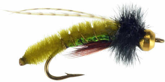 CADDIS POOPAH