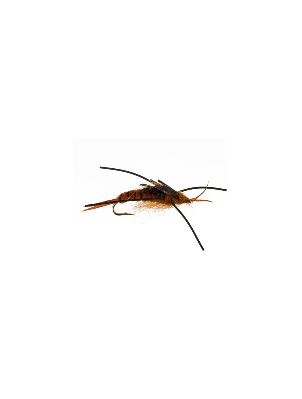 BROWN RUBBERLEGS STONEFLY