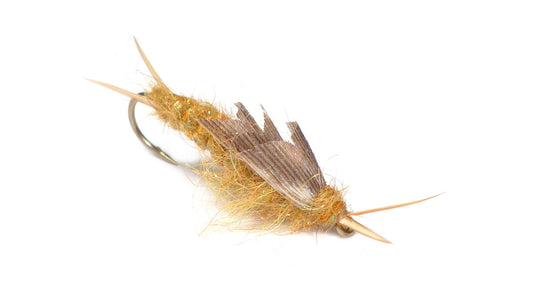 KAUFMANN GOLDEN STONEFLY