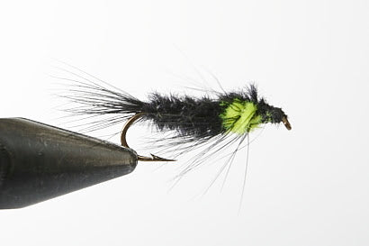 MONTAN NYMPH
